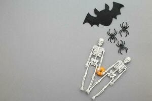 skeletons with pumpkin, bat and black spiders on a grey background. halloween concept photo