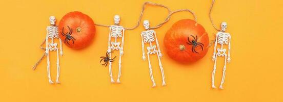 Halloween pumpkin with skeletons and black spiders on orange background. banner photo