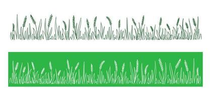 Wild ears of corn field on a green background.Grass in field.Vector illustration. vector