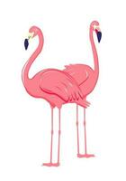 Two pink flamingo. Cute and beautiful flat pink flamingo on white background, summer design for print, kids drawing, design for t-shirt, poster, banner, design for fabric and textile vector