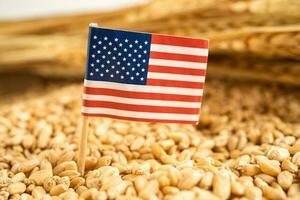 Grains wheat with USA America flag, trade export and economy concept. photo