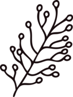 mão desenhado folhas e galhos a partir de a topo Visão dentro rabisco estilo png