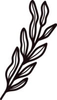 Hand Drawn leaves and twigs from the top view in doodle style png