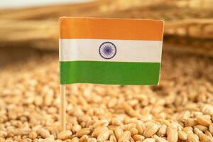 Grains wheat with India flag, trade export and economy concept. photo