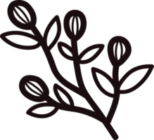 Hand Drawn flowers with twigs in doodle style png