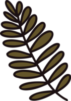 Hand Drawn palm leaves from the top view in doodle style png