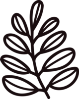 Hand Drawn leaves and twigs from the top view in doodle style png