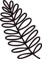 Hand Drawn palm leaves from the top view in doodle style png