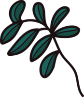 Hand Drawn leaves and twigs from the top view in doodle style png