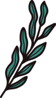 Hand Drawn palm leaves from the top view in doodle style png