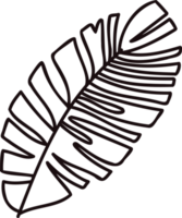 Hand Drawn palm leaves from the top view in doodle style png