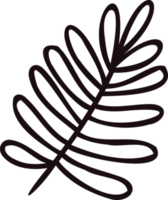 Hand Drawn palm leaves from the top view in doodle style png