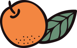 Hand Drawn orange in doodle style png