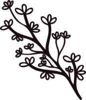 Hand Drawn leaves and twigs from the top view in doodle style png