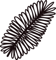 Hand Drawn palm leaves from the top view in doodle style png