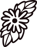 Hand Drawn flowers with twigs in doodle style png