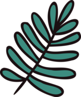 Hand Drawn palm leaves from the top view in doodle style png