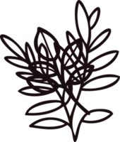 Hand Drawn leaves and twigs from the top view in doodle style png