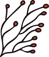 Hand Drawn leaves and twigs from the top view in doodle style png