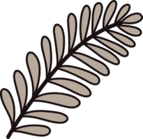 Hand Drawn palm leaves from the top view in doodle style png