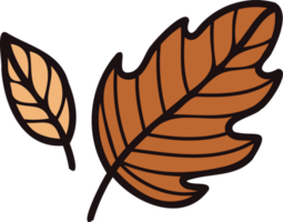 Hand Drawn leaves and twigs from the top view in doodle style png