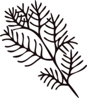 Hand Drawn leaves and twigs from the top view in doodle style png