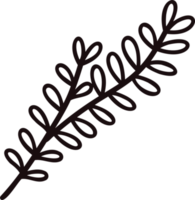 Hand Drawn leaves and twigs from the top view in doodle style png