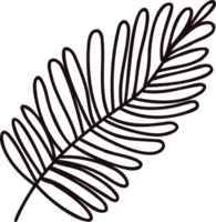 Hand Drawn palm leaves from the top view in doodle style png