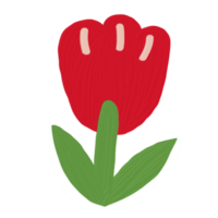 cute flower oil paint png