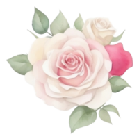 Watercolor bouquet of rose flowers png