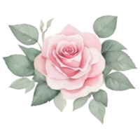 Watercolor bouquet of rose flowers png
