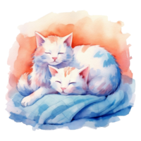 Watercolor illustration of cute a cat sleeping on watercolor background, png