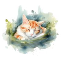 Watercolor illustration of cute a cat sleeping on watercolor background, png