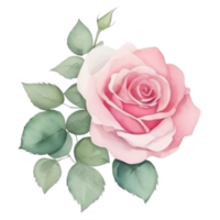 Watercolor bouquet of rose flowers png