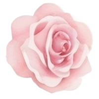 acquerello mazzo di rosa fiori ai generativo png