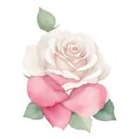 Watercolor bouquet of rose flowers png