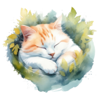 Aquarell Illustration von süß ein Katze Schlafen auf Aquarell Hintergrund, ai generativ png