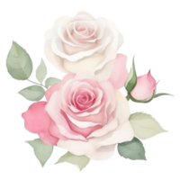 Watercolor bouquet of rose flowers png