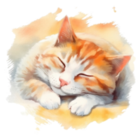Watercolor illustration of cute a cat sleeping on watercolor background, png