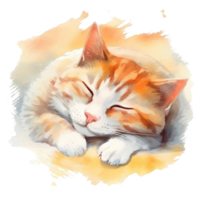 aquarelle illustration de mignonne une chat en train de dormir sur aquarelle arrière-plan, ai génératif png