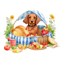 Watercolor illustration of cute dog in sunglasses sitting in a basket with food, png