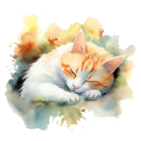 Watercolor illustration of cute a cat sleeping on watercolor background, png