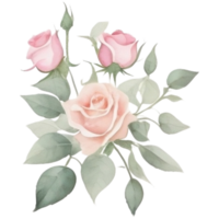 Watercolor bouquet of rose flowers png