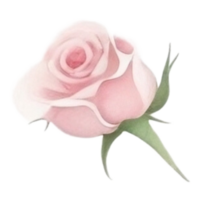 Aquarell Strauß von Rose Blumen ai generativ png