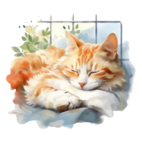 Watercolor illustration of cute a cat sleeping on watercolor background, png