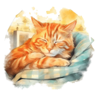 Watercolor illustration of cute a cat sleeping on watercolor background, png