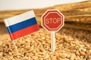 Grains wheat with Russia flag with stop sign, trade export and economy concept. photo