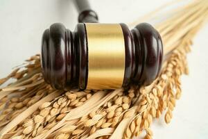 Judge gavel hammer with good grain rice from agriculture farm. Law and justice court concept. photo