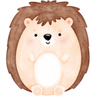 Cute hedgehog, baby hedgehog png