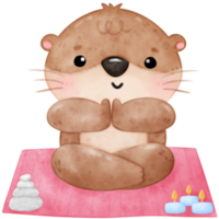 Cute otter yoga, yoga, yoga otter, yoga bear, yoga pose png